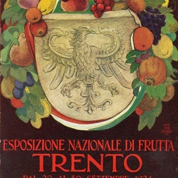 Cartoline del Trentino T